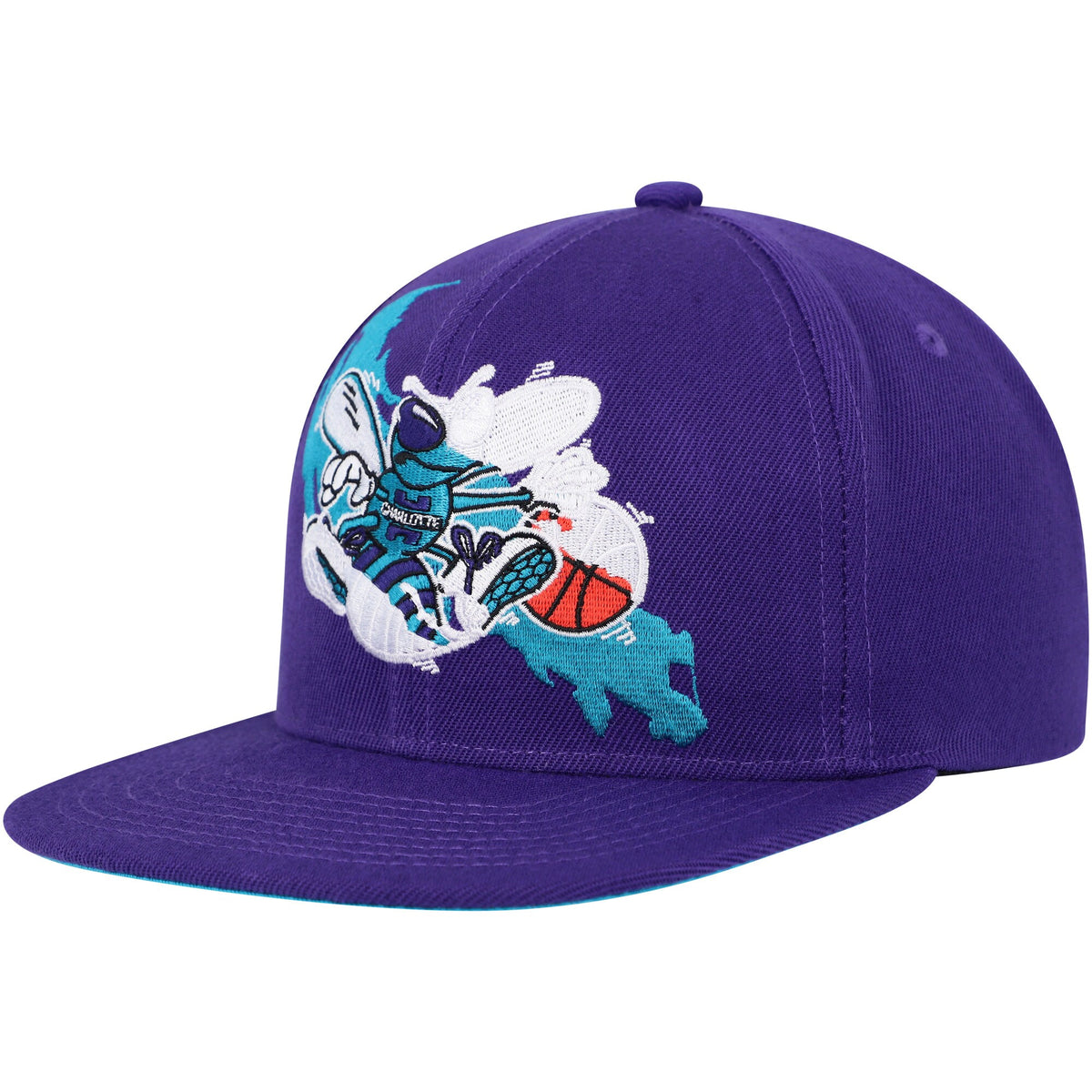 Charlotte Hornets Mitchell & Ness Paint By Numbers Snapback Hat - Purple