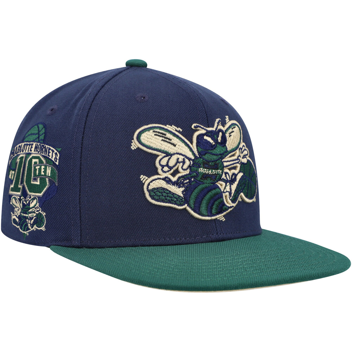 Charlotte Hornets Mitchell & Ness 10th Anniversary Hardwood Classics Grassland Fitted Hat - Navy/Green