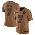 Trevon Diggs Dallas Cowboys Nike 2023 Salute To Service Limited Jersey   Brown