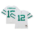 Randall Cunningham Philadelphia Eagles Mitchell   Ness Legacy Replica Jersey   White