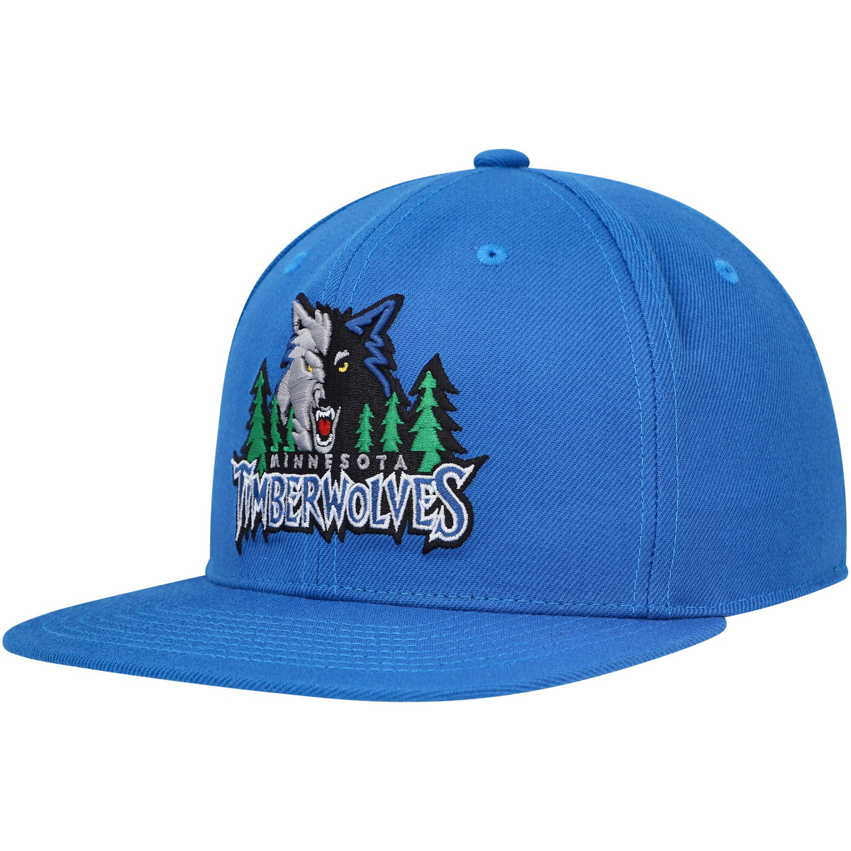 Minnesota Timberwolves Mitchell & Ness Hardwood Classics MVP Team Ground 2.0 Fitted Hat - Blue